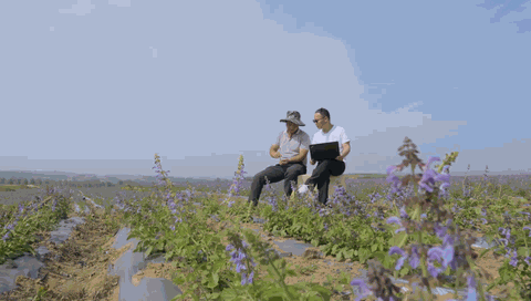 6A696294D76F98269E43B5017892F163.png 6A696294D76F98269E43B5017892F163.png